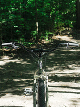 Load image into Gallery viewer, ‘Cacti’ Riser Bar