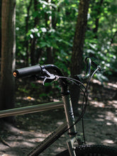 Load image into Gallery viewer, ‘Cacti’ Riser Bar